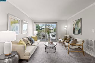 590 El Dorado Ave 214, Oakland, CA 94611