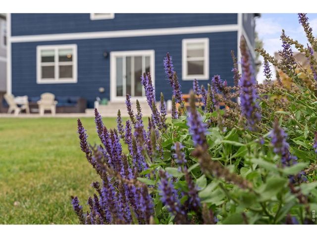 711 Lake Emerson Rd, Severance, CO 80550