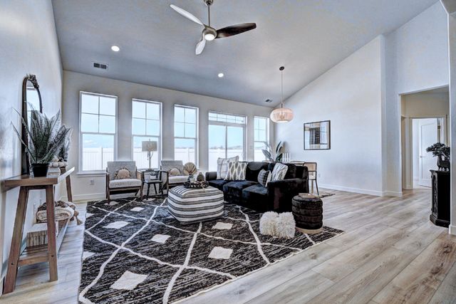 2005 Tomochic Drive, Fruita, CO 81521