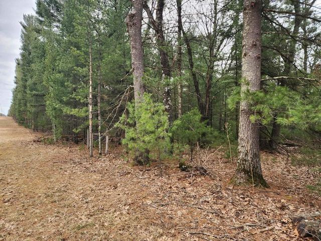 Dyke Avenue, Adams, WI 53910
