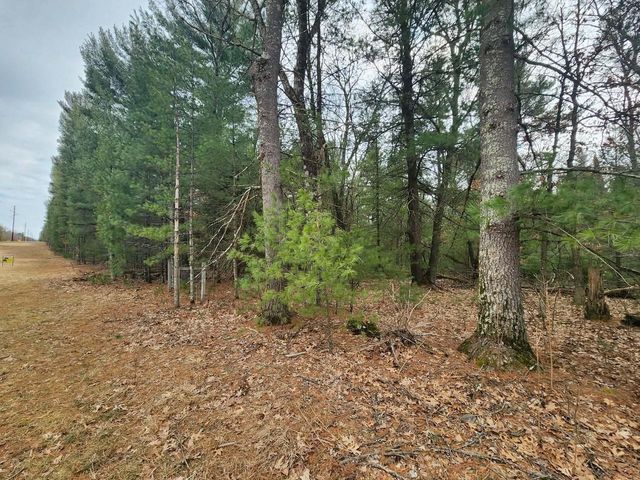 Dyke Avenue, Adams, WI 53910