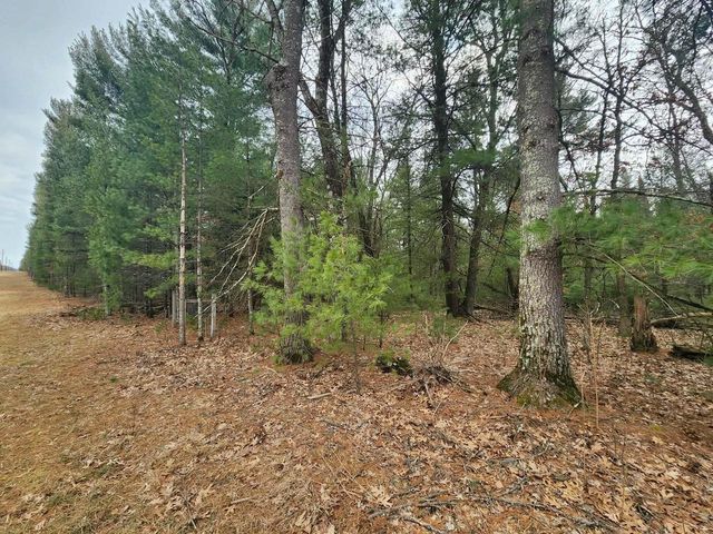 Dyke Avenue, Adams, WI 53910