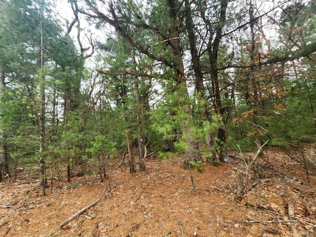 Dyke Avenue, Adams, WI 53910