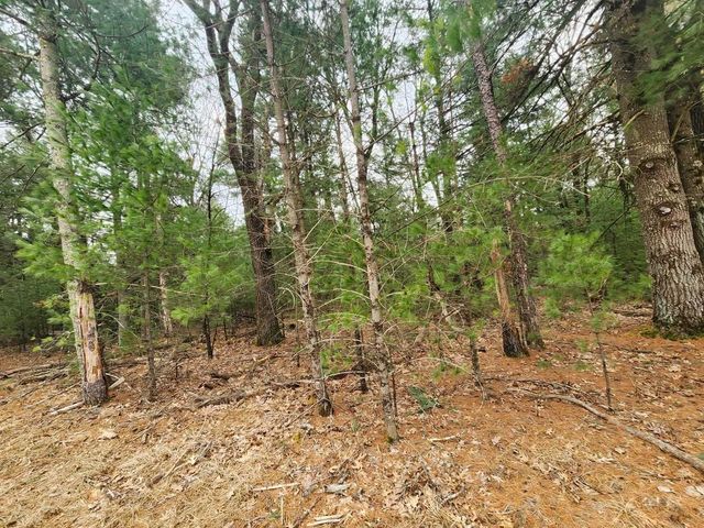 Dyke Avenue, Adams, WI 53910