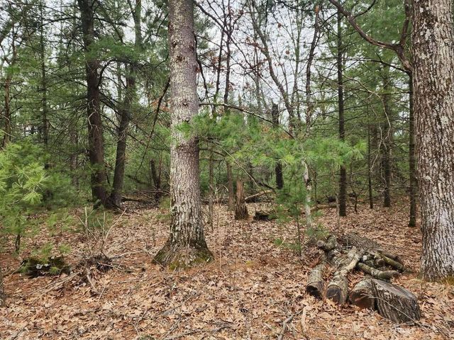 Dyke Avenue, Adams, WI 53910