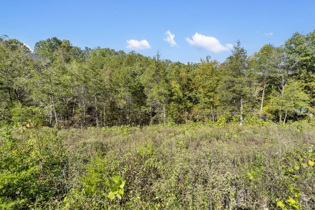 195 Kings Ridge Road, Cape Fair, MO 65624