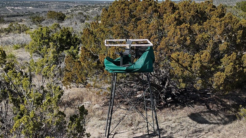 Image 14 of property listing at 1384 Cougar Trail, Ozona, TX 76943