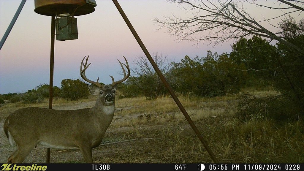 Image 18 of property listing at 1384 Cougar Trail, Ozona, TX 76943