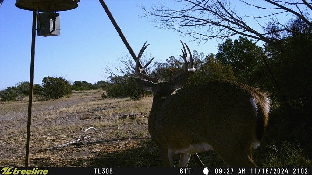 Image 5 of property listing at 1384 Cougar Trail, Ozona, TX 76943