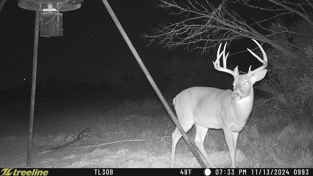 Image 6 of property listing at 1384 Cougar Trail, Ozona, TX 76943