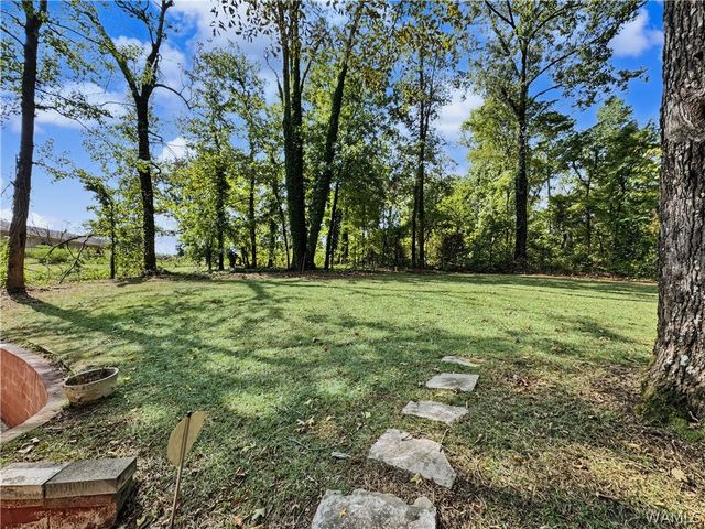60 Bellview, Tuscaloosa, AL 35405