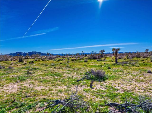 58919 Aberdeen, Yucca Valley, CA 92284