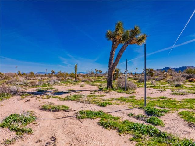 58919 Aberdeen, Yucca Valley, CA 92284