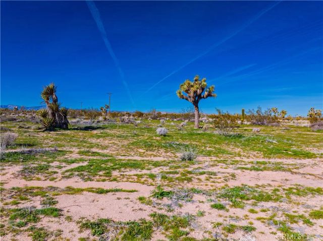 58919 Aberdeen, Yucca Valley, CA 92284