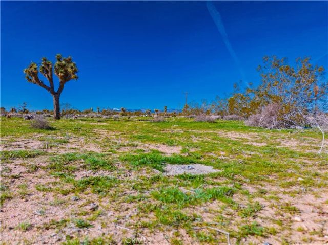 58919 Aberdeen, Yucca Valley, CA 92284