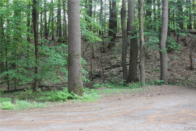 9577 Brewer Road, Camden, NY 13316