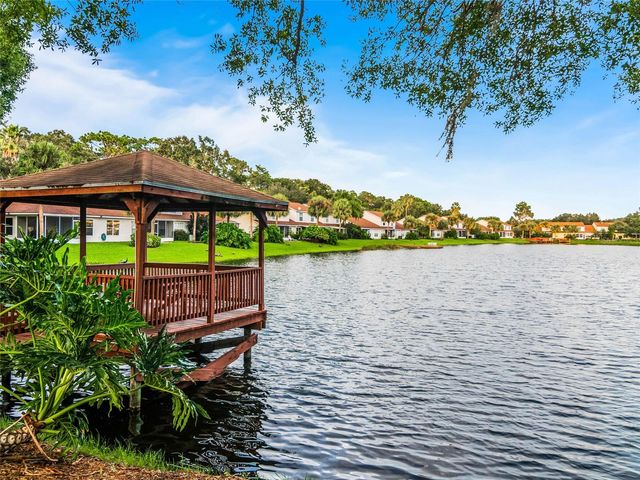 21523 WOODSTORK LANE, Lutz, FL 33549