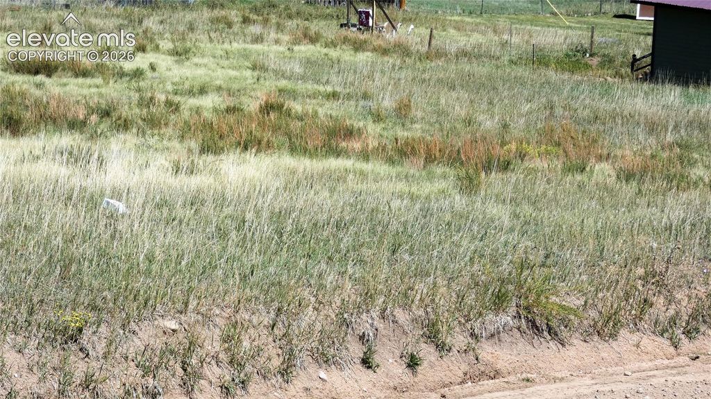 149 Will Scarlet Drive, Divide, CO 80814 — photo 2