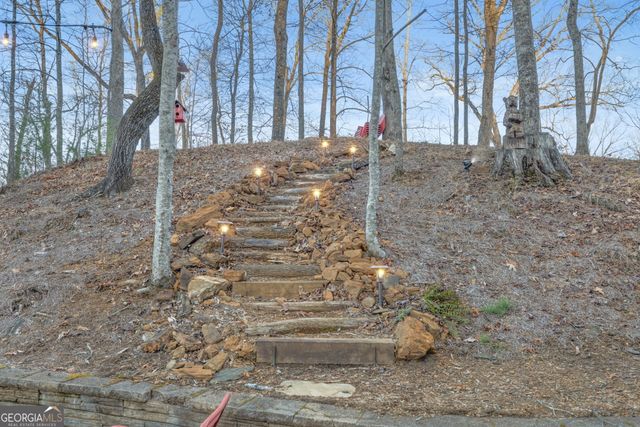 185 Pope Dickson Lane, Clarkesville, GA 30523