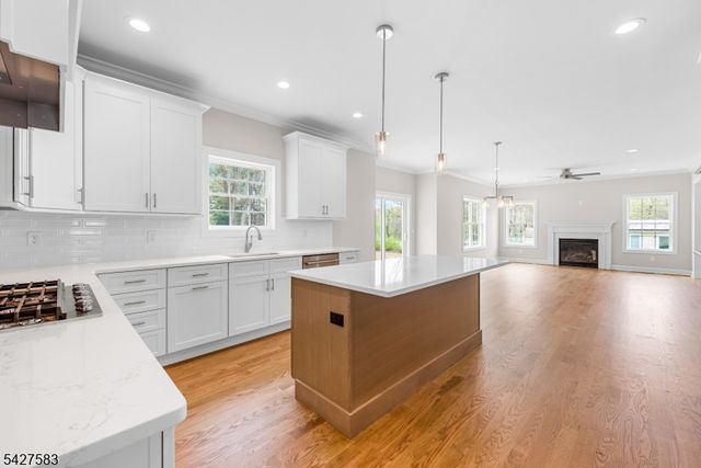 161 Pleasant Grove Road, Washington Twp., NJ 07853