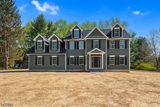 161 Pleasant Grove Road, Washington Twp., NJ 07853