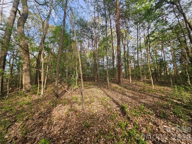 1110 Clark Hill Drive, Belmont, NC 28012