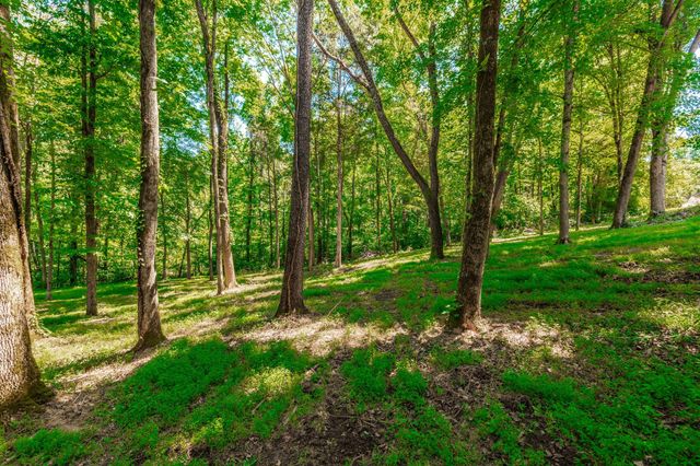 4463 Heath Rd, Nashville, TN 37221