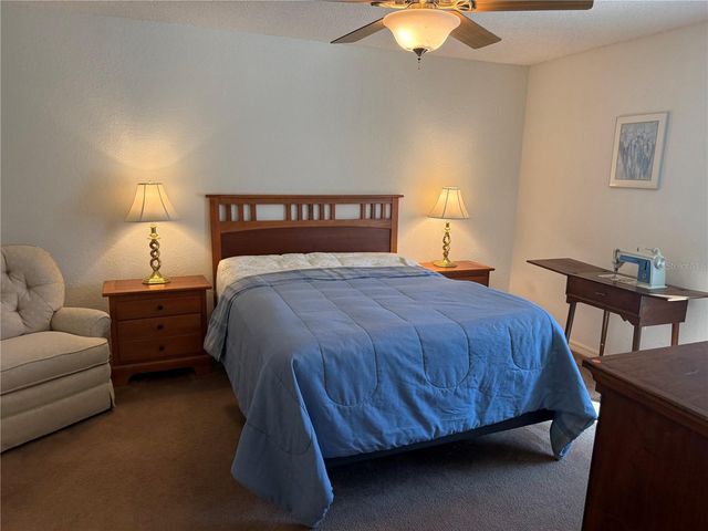 317 CARRIAGE CROSSING CIRCLE, Brandon, FL 33510