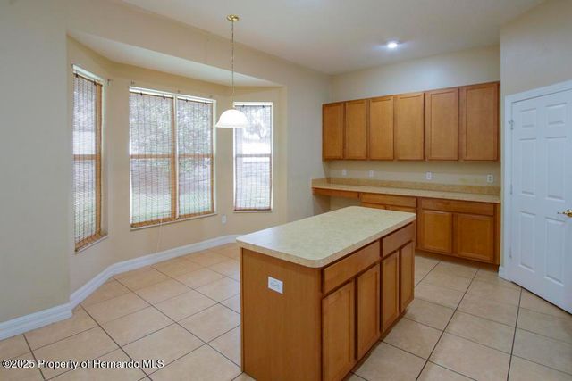 4394 Edenrock Place, Spring Hill, FL 34609