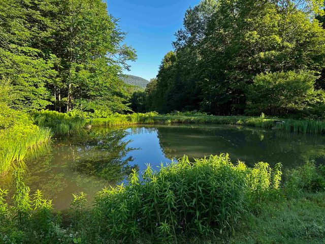 397 Fern Hill, Dorset, VT 05251