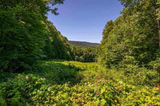 397 Fern Hill, Dorset, VT 05251