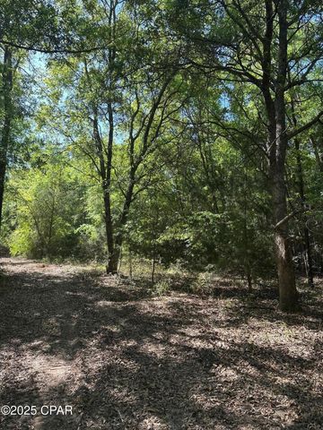 00 Vereen Street, Greenwood, FL 32443
