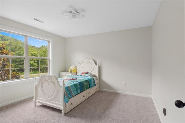 185 Hillside Cove Ln, Woodbury, TN 37190