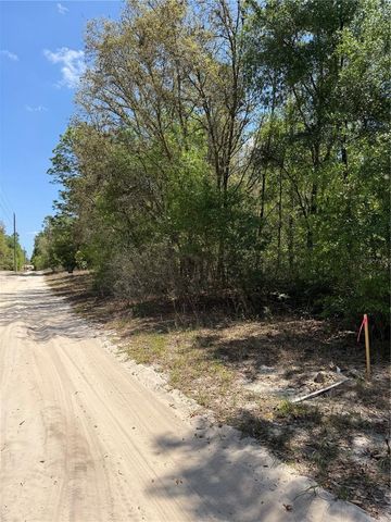 NE 118TH LANE, Bronson, FL 32621