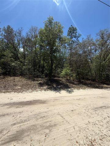 NE 118TH LANE, Bronson, FL 32621