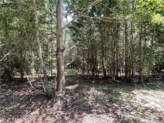 0 Henschel Lane, Broadway, NC 27505