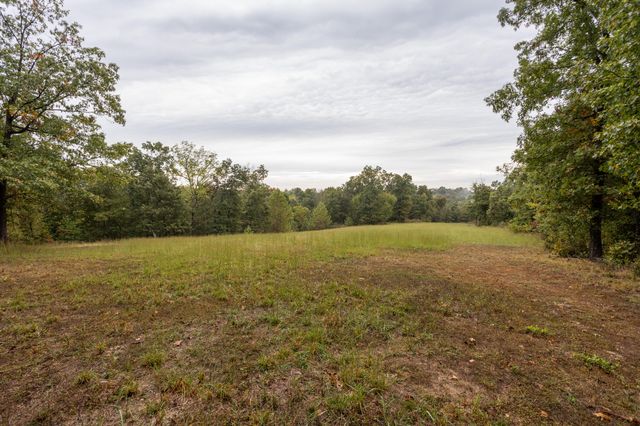 2421 Morrison Loop, Anderson, MO 64831