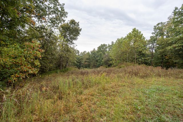 2421 Morrison Loop, Anderson, MO 64831