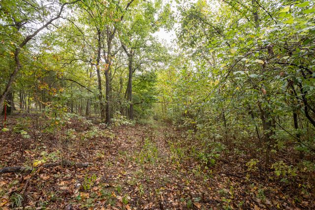 2421 Morrison Loop, Anderson, MO 64831