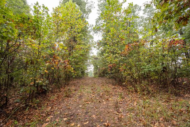 2421 Morrison Loop, Anderson, MO 64831