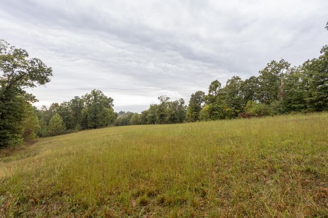 2421 Morrison Loop, Anderson, MO 64831