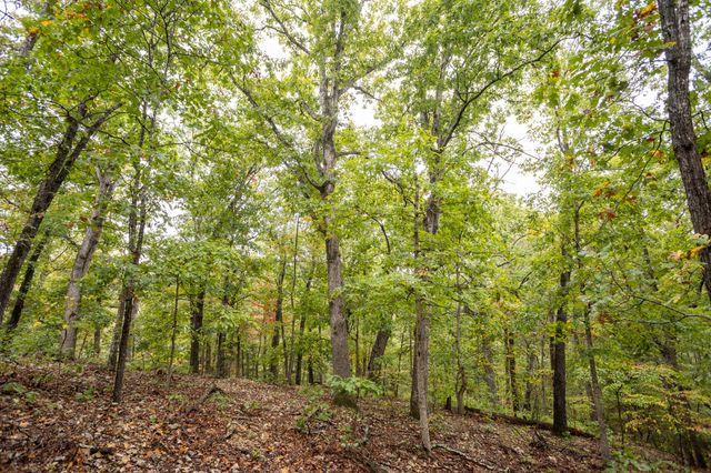 2421 Morrison Loop, Anderson, MO 64831