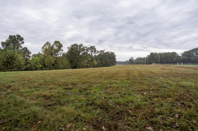 2421 Morrison Loop, Anderson, MO 64831