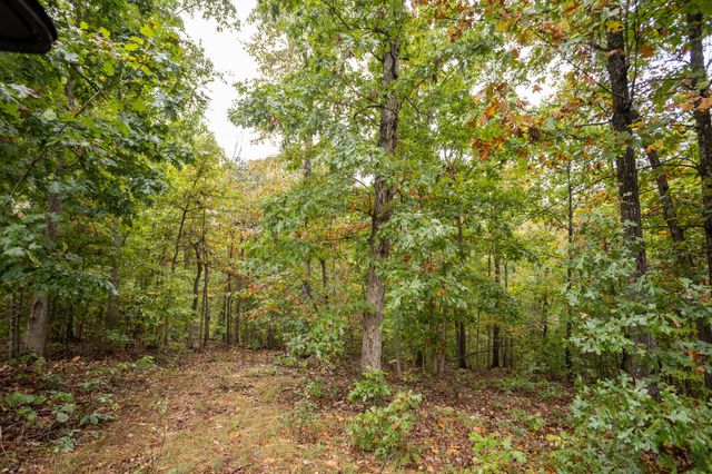 2421 Morrison Loop, Anderson, MO 64831