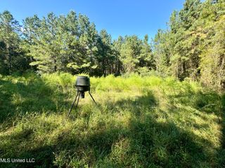 Flat Top Road Road, Picayune, MS 39466