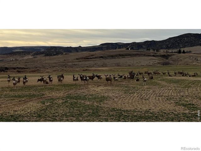 3310 W County Road 80, Wellington, CO 80549
