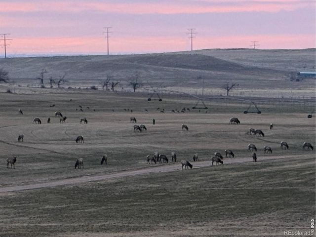 3310 W County Road 80, Wellington, CO 80549
