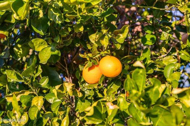 2502 E Glen Canyon Road, Green Valley, AZ 85614