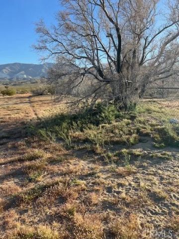 35022 Carson St, Lucerne Valley, CA 92356