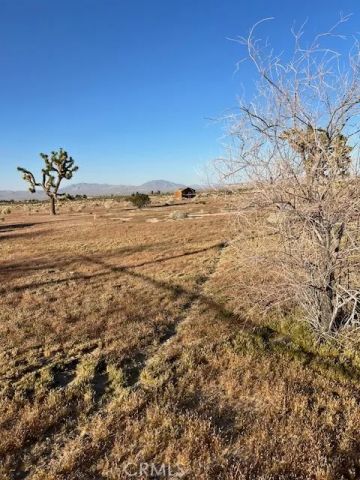 35022 Carson St, Lucerne Valley, CA 92356
